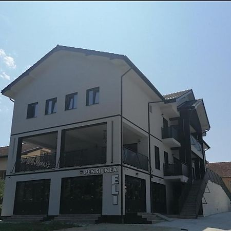 Pensiunea Eli Buziaş Eksteriør bilde